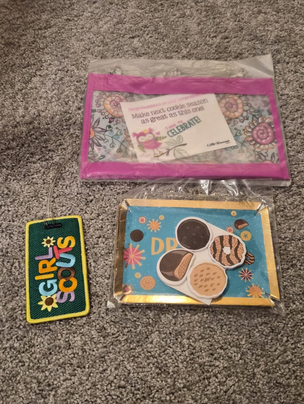 100 Years Anniversary (2017) Girl Scouts Owl Pencil Pouch, & Cookie Tray